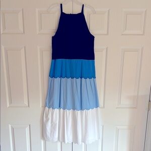 Ann Taylor Maxi Dress